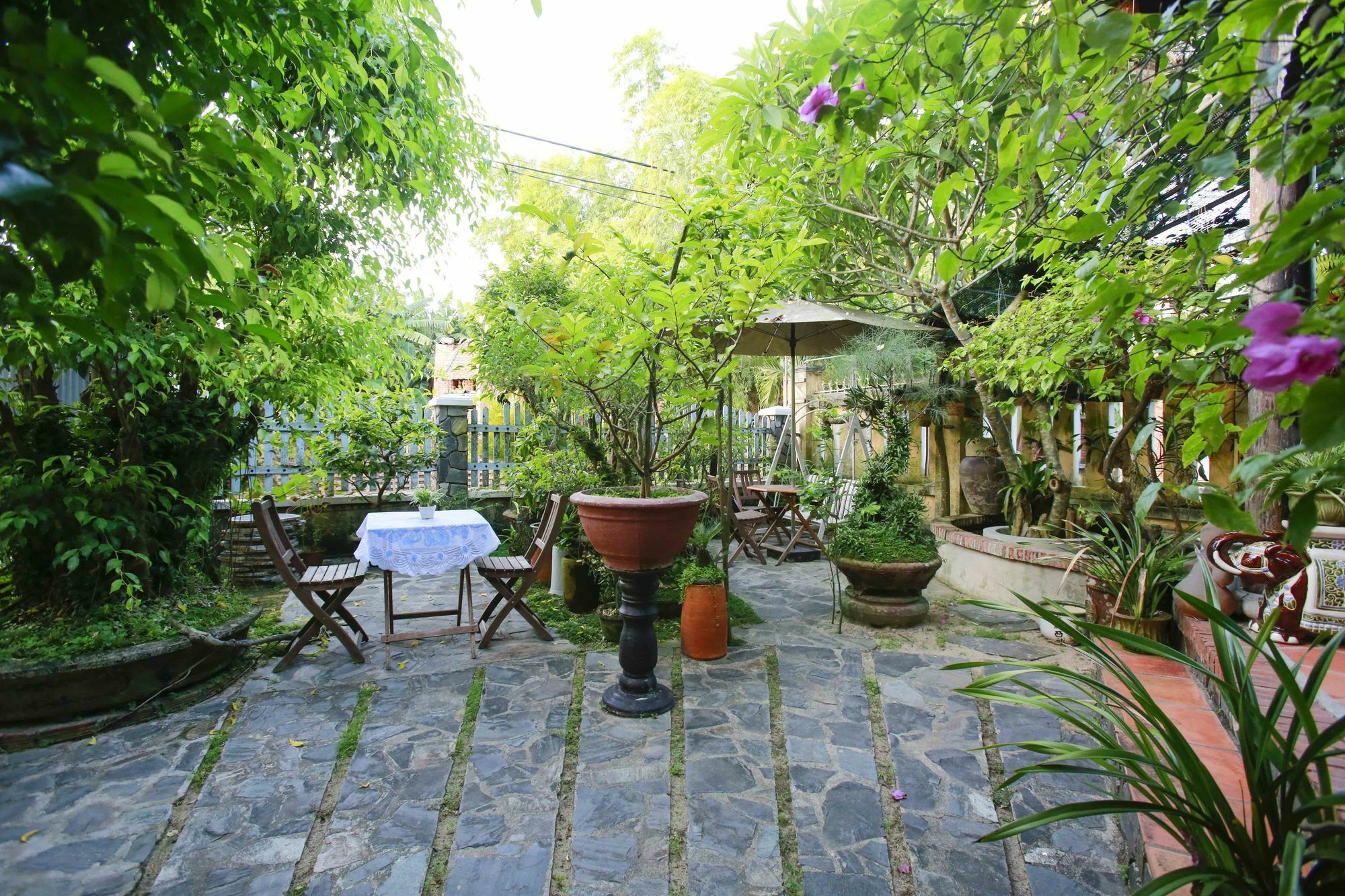 Terra Cotta Homestay Хойан Экстерьер фото